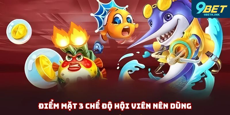 Điểm mặt 3 chế độ hội viên nên dùng
