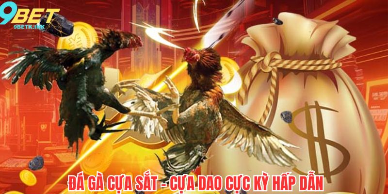Hình thức đấu kê theo cược rất căng thẳng
