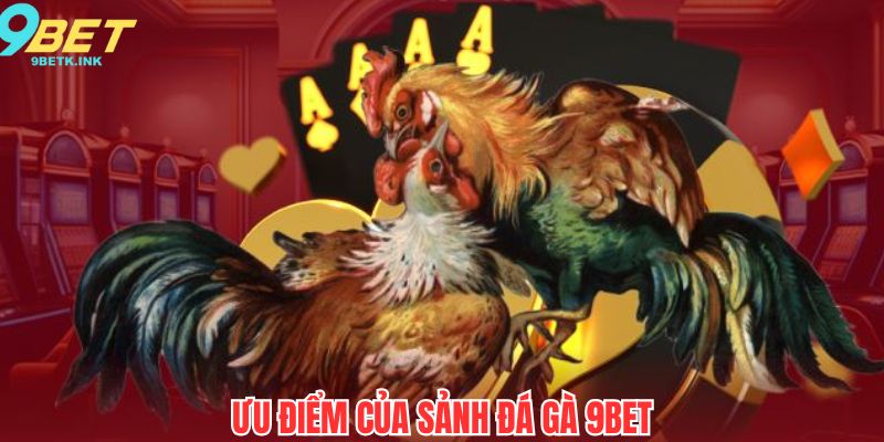 Ưu điểm nổi bật của sảnh chơi đá gà tại 9bet