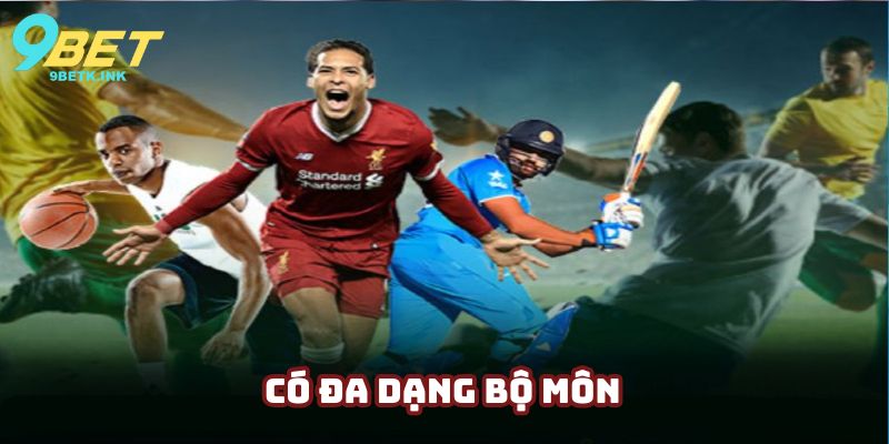 Có đa dạng bộ môn thể thao để phục vụ khách hàng