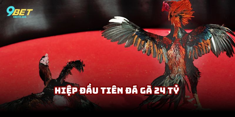 Hiệp mở màn trong trận gà 24 tỷ đầy ấn tượng